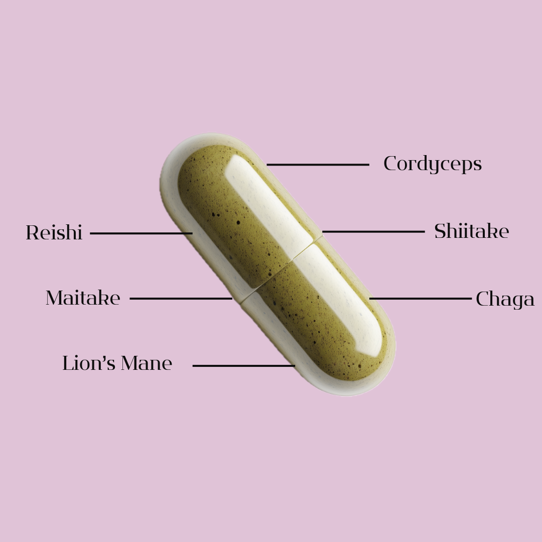 Organic Mushroom Blend Supplement